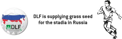 dlf grass seed